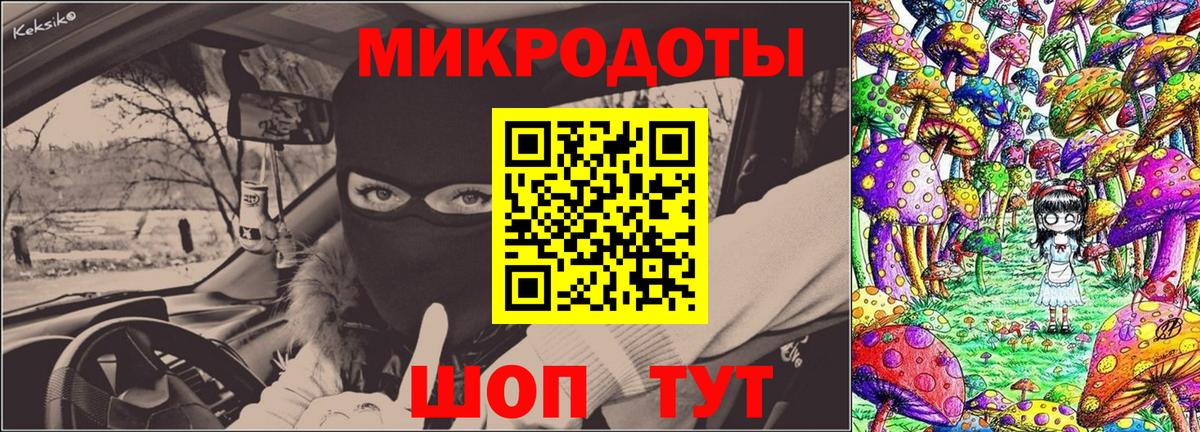 Галлюциногенные грибы Psilocybine cubensis Ишим