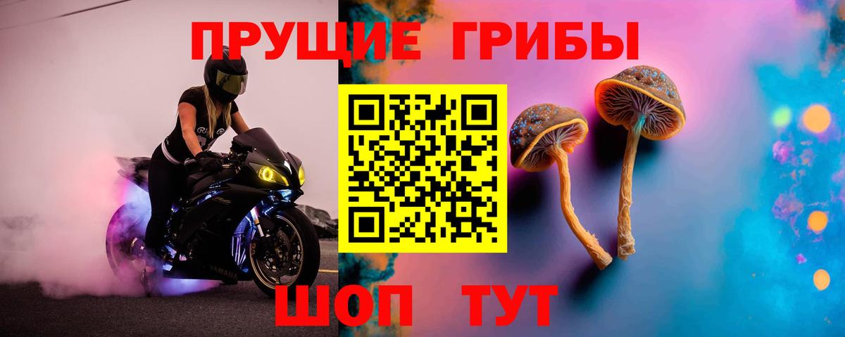 Ишим  Псилоцибиновые грибы прущие грибы  Вход с VPN 